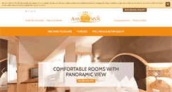 Desktop Screenshot of amsonneck.com